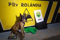 Mulher é presa com 10 quilos de maconha pelo BPRv em Rolândia, no Norte do estado