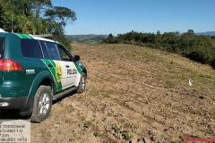  Polícia Ambiental e IAT localizam 406 hectares desmatados no Centro-Sul e aplicam R$ 4,2 milhões em multas