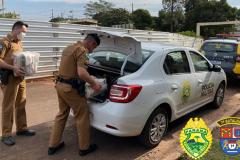 Policiais militares do Noroeste do estado doam alimentos e sangue em comemoração aos 53 anos do 7º Batalhão
