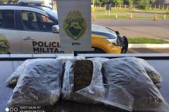 BPRv localiza 61 quilos de skunk durante abordagem em Floresta (PR)
