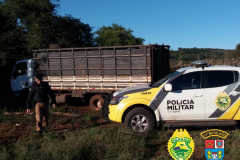 Momentos após crime, PM recupera gado furtado e apreende caminhão roubado, em Campo Mourão, no Noroeste