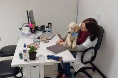 Cão da PM auxiliará em programa de saúde mental de profissionais da segurança