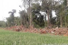 Primeiro dia da Operação Nascente Viva flagra diversos pontos de destruição de mata nativa no Sudoeste do estado