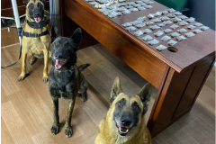Drogas são apreendidas durante abordagens com apoio de cães de faro do Batalhão de Polícia de Choque