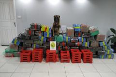 Mais de 1,5 tonelada de maconha é apreendida pela PM em Candói (PR)