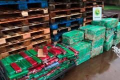 Apreensões de drogas no Paraná crescem no primeiro semestre