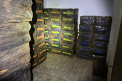 BPFron apreende 9,5 mil pacotes de cigarros em Itaipulândia (PR) durante a operação Fronteiras e Divisas Integradas