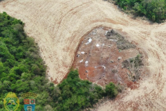 Polícia Ambiental flagra desmatamento e proprietário é preso após tentativa de homicídio contra equipe em Peabiru (PR)