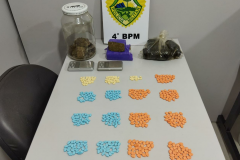 Mais de 70 quilos de drogas e 481 comprimidos de ecstasy são apreendidos pela PM no Noroeste do estado