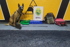 Passageiro de ônibus de viagem é flagrado com 16 quilos de maconha em Rolândia (PR)