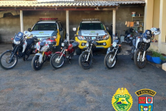 No Norte Pioneiro, PM apreende 10 veículos e 930 gramas de maconha em situações distintas