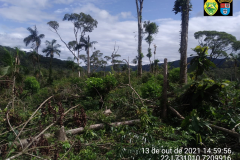 Polícia Ambiental aplica mais de R$ 1 milhão em Autos de infração ambiental contra suspeitos de desmatamento e rinha de galo, em ocorrências distintas