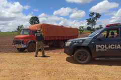 Em apenas um dia, apreensões do BPFRON acumulam R$ 1,3 milhão de prejuízo ao crime organizado