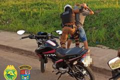 Na região do Norte Pioneiro, policiais militares e civis encaminham suspeito de furto e apreendem duas motocicletas, em ações distintas