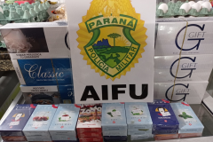 Pistola e produtos contrabandeados são apreendidos pela AIFU durante ações na Capital e no Litoral