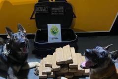 Cães de faro do Batalhão de Polícia Rodoviária auxiliam na apreensão de crack, maconha e cocaína durante abordagens no interior e litoral