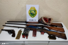Polícia Ambiental apreende armamento e localiza desmatamento em Matelândia (PR)
