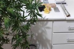 PM encaminha 10 pessoas e apreende drogas e recupera objetos no Sudoeste do estado