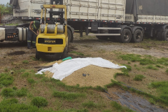 PM recupera 35 toneladas de cevada e insumo agrícola desviados em Paranaguá, no Litoral do estado