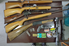 Polícia Ambiental apreende seis armas de fogo e resgata 43 aves silvestres no Norte do estado