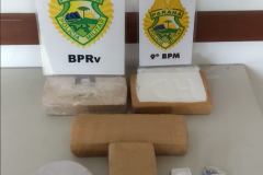 Cão de faro do BPRv descobre fundo falso com drogas dentro de uma casa em Guaratuba 