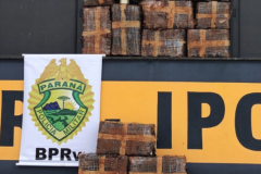BPRv apreende 178 quilos de maconha e outros produtos contrabandeados durante feriado de Tiradentes, no interior do estado