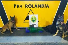 BATALHÃO APREENDE MACONHA E UMA CAMINHONETE PREPARADA PARA O TRANSPORTE DE ILÍCITOS