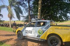 Foto: Divulgação/PMPR