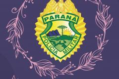 plano de segurança