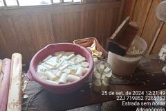 Apreensão de palmito em Adrianópolis