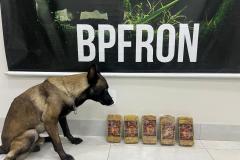 PMPR e BPFRON apreendem 5,2 kg de crack em ônibus na rodoviária de Umuarama