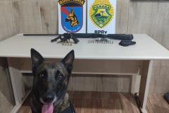 As armas e munições apreendidas foram apresentadas à autoridade policial para as providências cabíveis