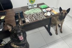 Com o apoio dos cães de faro, as buscas resultaram na apreensão de 347 pinos de substância análoga à cocaína