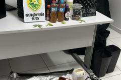MNo endereço indicado e localizaram os pés de maconha, além de materiais utilizados para o cultivo da planta.