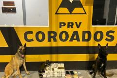 PMPR prende mulher que transportava mais de 20 quilos de maconha no litoral 