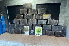 Ação integrada entre PMPR, PCPR e PF resulta na apreensão de 732 kg de maconha em Foz do Iguaçu