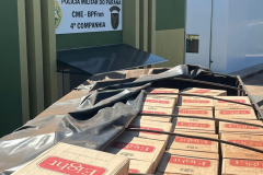 PMPR apreende caminhão carregado de cigarros contrabandeados em Tuneiras do Oeste