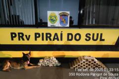 PMPR apreende entorpecentes em diferentes ônibus que seguiam para fora do Paraná