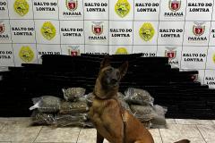 PMPR apreende mais de 120 quilos de maconha em Salto do Lontra
