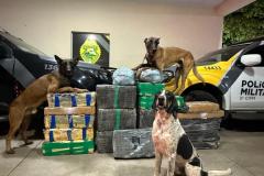PMPR recupera veículo roubado e apreende mais de 340 quilos de maconha em Jussara