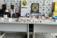 PMPR e PF apreendem anabolizantes e medicamentos contrabandeados avaliados em mais de R$ 2 milhões na BR-277