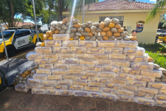 PMPR apreende mais de 1 tonelada de maconha em Planaltina