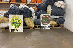 PMPR e PF apreendem quase 300 kg de maconha às margens do Rio Paraná, em Foz do Iguaçu