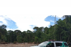 PMPR autua 14 pessoas por desmatamento irregular em área de vegetação nativa