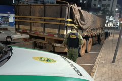 PMPR apreende quase 12 toneladas de baterias e prende motorista por crime ambiental em Vitorino