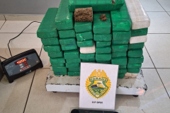 PMPR apreende 40 kg de maconha e prende homem durante cumprimento de mandado em Guarapuava