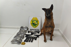 PMPR identifica passageiras com drogas e armas presas ao corpo em abordagem a ônibus em Guaíra