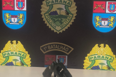PMPR prende suspeito de homicídio e apreende arma em Ponta Grossa