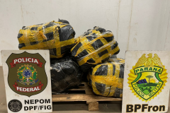 PMPR e PF apreendem veículo carregado com 96 kg de maconha em Foz do Iguaçu