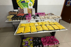 PMPR apreende armas e grande quantidade de drogas sintéticas na CIC